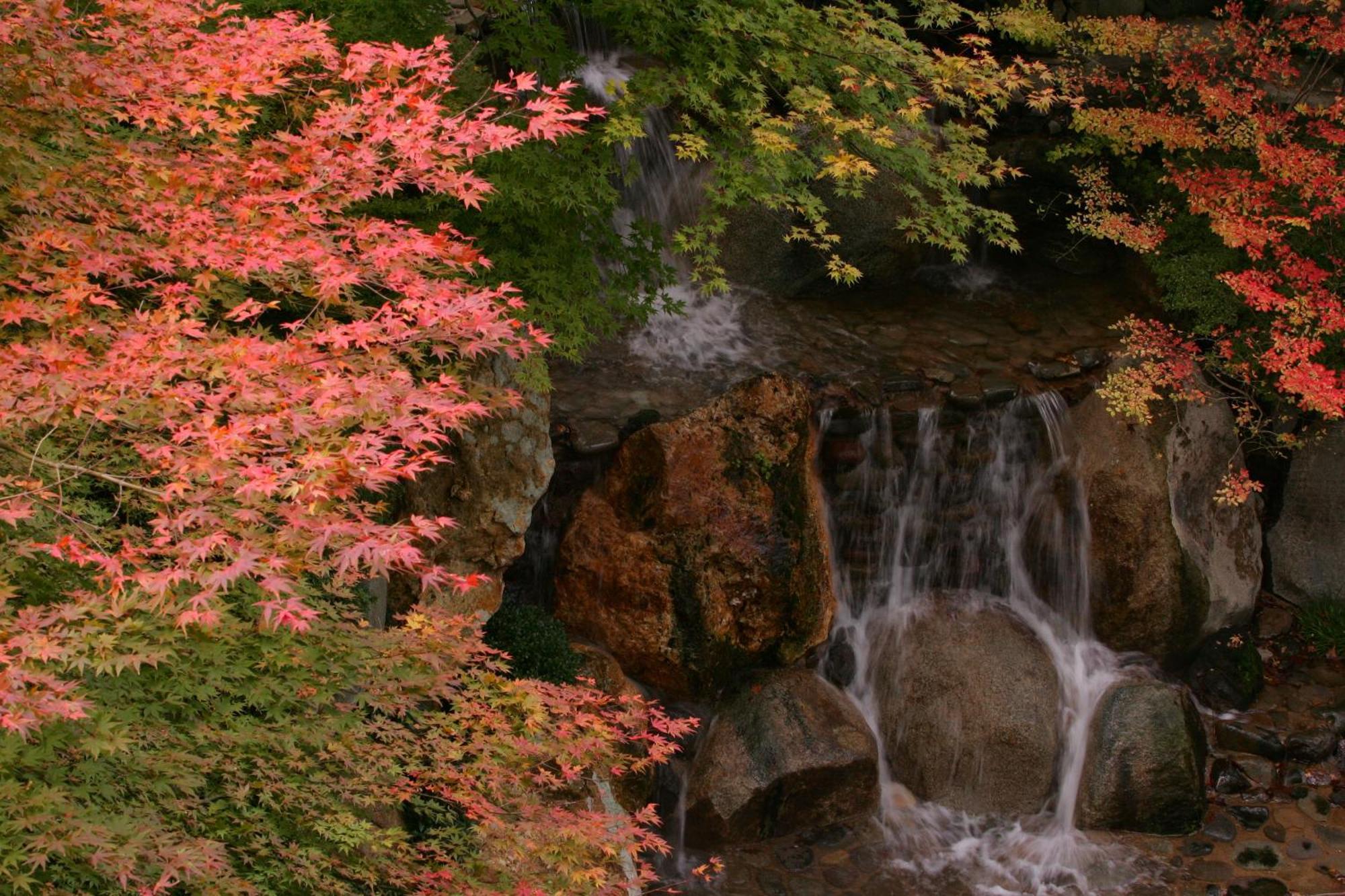 Sakan Sendai Esterno foto
